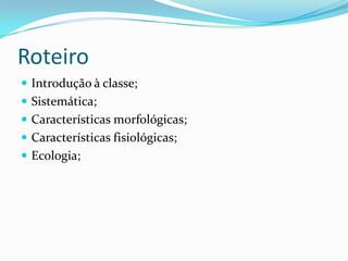 Roteiro
 Introdução à classe;
 Sistemática;
 Características morfológicas;
 Características fisiológicas;
 Ecologia;
 