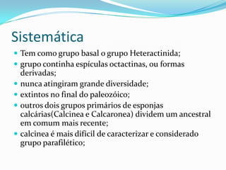Sistemática
 Tem como grupo basal o grupo Heteractinida;
 grupo continha espículas octactinas, ou formas
    derivadas;
   nunca atingiram grande diversidade;
   extintos no final do paleozóico;
   outros dois grupos primários de esponjas
    calcárias(Calcinea e Calcaronea) dividem um ancestral
    em comum mais recente;
   calcinea é mais difícil de caracterizar e considerado
    grupo parafilético;
 