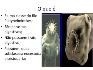 O que é
• É uma classe do filo
Platyhelminthes;
• São parasitas
digestivos;
• Não possuem trato
digestivo;
• Possuem duas
subclasses: eucestoda
e cestodaria;
 