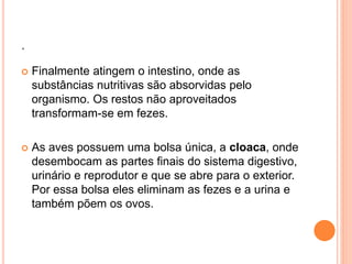 . 
 Finalmente atingem o intestino, onde as 
substâncias nutritivas são absorvidas pelo 
organismo. Os restos não aproveitados 
transformam-se em fezes. 
 As aves possuem uma bolsa única, a cloaca, onde 
desembocam as partes finais do sistema digestivo, 
urinário e reprodutor e que se abre para o exterior. 
Por essa bolsa eles eliminam as fezes e a urina e 
também põem os ovos. 
 