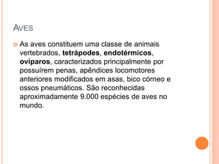 AVES 
 As aves constituem uma classe de animais 
vertebrados, tetrápodes, endotérmicos, 
ovíparos, caracterizados principalmente por 
possuírem penas, apêndices locomotores 
anteriores modificados em asas, bico córneo e 
ossos pneumáticos. São reconhecidas 
aproximadamente 9.000 espécies de aves no 
mundo. 
 