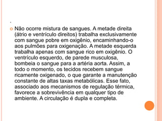 . 
 Não ocorre mistura de sangues. A metade direita 
(átrio e ventrículo direitos) trabalha exclusivamente 
com sangue pobre em oxigênio, encaminhando-o 
aos pulmões para oxigenação. A metade esquerda 
trabalha apenas com sangue rico em oxigênio. O 
ventrículo esquerdo, de parede musculosa, 
bombeia o sangue para a artéria aorta. Assim, a 
todo o momento, os tecidos recebem sangue 
ricamente oxigenado, o que garante a manutenção 
constante de altas taxas metabólicas. Esse fato, 
associado aos mecanismos de regulação térmica, 
favorece a sobrevivência em qualquer tipo de 
ambiente. A circulação é dupla e completa. 
 