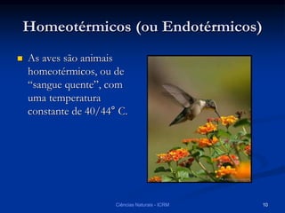 Homeotérmicos (ou Endotérmicos)
 As aves são animais
homeotérmicos, ou de
“sangue quente”, com
uma temperatura
constante de 40/44° C.
Ciências Naturais - ICRM 10
 