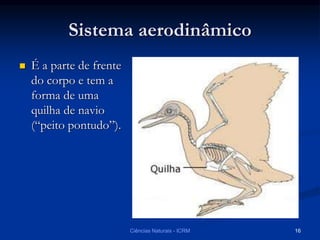 Sistema aerodinâmico
 É a parte de frente
do corpo e tem a
forma de uma
quilha de navio
(“peito pontudo”).
Ciências Naturais - ICRM 16
 