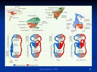 Ciências Naturais - ICRM 23
 