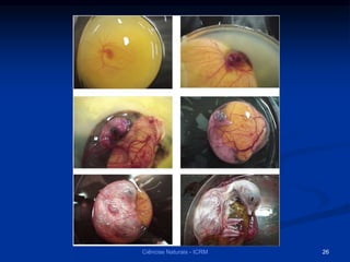 Ciências Naturais - ICRM 26
 