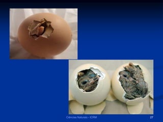 Ciências Naturais - ICRM 27
 
