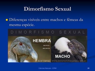 Dimorfismo Sexual
 Diferenças visíveis entre machos e fêmeas da
mesma espécie.
Ciências Naturais - ICRM 29
 