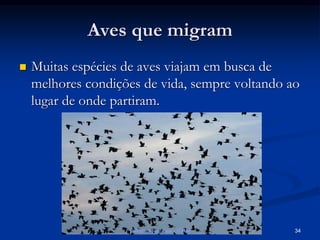 Aves que migram
 Muitas espécies de aves viajam em busca de
melhores condições de vida, sempre voltando ao
lugar de onde partiram.
Ciências Naturais - ICRM 34
 