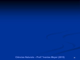 38Ciências Naturais – Prof.ª Ivanise Meyer (2015)
 