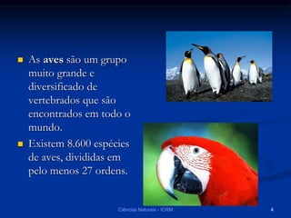  As aves são um grupo
muito grande e
diversificado de
vertebrados que são
encontrados em todo o
mundo.
 Existem 8.600 espécies
de aves, divididas em
pelo menos 27 ordens.
Ciências Naturais - ICRM 4
 