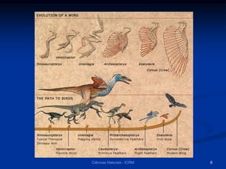 Ciências Naturais - ICRM 6
 