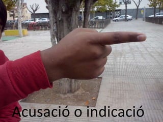 Acusació o indicació 
 