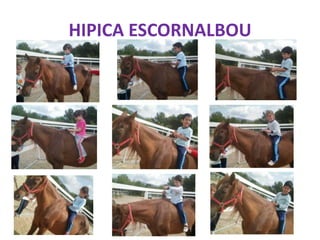HIPICA ESCORNALBOU
 