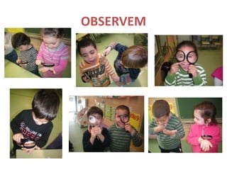 OBSERVEM
 