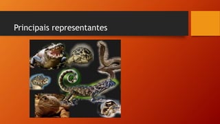 Principais representantes
 