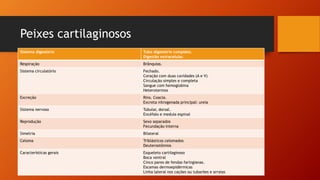 Peixes cartilaginosos
Sistema digestório Tubo digestório completo.
Digestão extracelular.
Respiração Brânquias.
Sistema circulatório Fechado.
Coração com duas cavidades (A e V)
Circulação simples e completa
Sangue com hemoglobina
Heterotermos
Excreção Rins. Coacla.
Excreta nitrogenada principal: ureia
Sistema nervoso Tubular, dorsal.
Encéfalo e medula espinal
Reprodução Sexo separados
Fecundação interna
Simetria Bilateral
Celoma Triblásticos celomados
Deuterostômios
Características gerais Esqueleto cartilaginoso
Boca ventral
Cinco pares de fendas faringianas.
Escamas dermoepidérmicas
Linha lateral nos cações ou tubarões e arraias
 