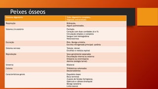 Peixes ósseos
Sistema digestório Tubo digestório completo.
Digestão extracelular.
Respiração Brânquias.
Alguns pulmonados.
Sistema circulatório Fechado.
Coração com duas cavidades (A e V)
Circulação simples e completa
Sangue com hemoglobina
Heterotermos
Excreção Rins. Bexiga urinária.
Excreta nitrogenada principal: qmônia
Sistema nervoso Tubular, dorsal.
Encéfalo e medula espinal
Reprodução Sexo geralmente separados
Fecundação interna ou externa
Oviparos ou ovovivíparos
Alevino (estágio larval)
Simetria Bilateral
Celoma Triblásticos celomados
Deuterostômios
Características gerais Esqueleto ósseo
Boca terminal
4 pares de fendas faringianas.
Opérculo e câmara branquial
Bexiga natatória
Linha lateral
 