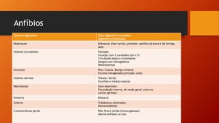 Anfíbios
Sistema digestório Tubo digestório completo.
Digestão extracelular.
Respiração Brânquias (fase larval), pulmões, epitélio da boca e da faringe,
pele.
Sistema circulatório Fechado.
Coração com 3 cavidades (2A e V)
Circulação dupla e incompleta
Sangue com hemoglobina
Heterotermos
Excreção Rins. Coacla. Bexiga urinária.
Excreta nitrogenada principal: ureia
Sistema nervoso Tubular, dorsal.
Encéfalo e medula espinal
Reprodução Sexo separados
Fecundação interna, de modo geral, externa.
Larvas (girinos)
Simetria Bilateral
Celoma Triblásticos celomados
Deuterostômios
Características gerais Pele fina e úmida (trocas gasosas)
Não há anfíbios no mar.
 