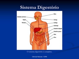 Sistema Digestório
O sistema digestório é completo.
Ciências Naturais - ICRM
 