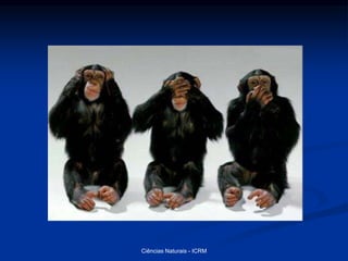 Ciências Naturais - ICRM
 