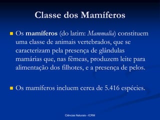 Classe dos Mamíferos
 Os mamíferos (do latim: Mammalia) constituem
uma classe de animais vertebrados, que se
caracterizam pela presença de glândulas
mamárias que, nas fêmeas, produzem leite para
alimentação dos filhotes, e a presença de pelos.
 Os mamíferos incluem cerca de 5.416 espécies.
Ciências Naturais - ICRM
 