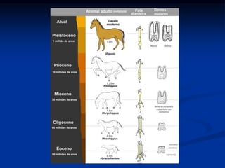Ciências Naturais - ICRM
 