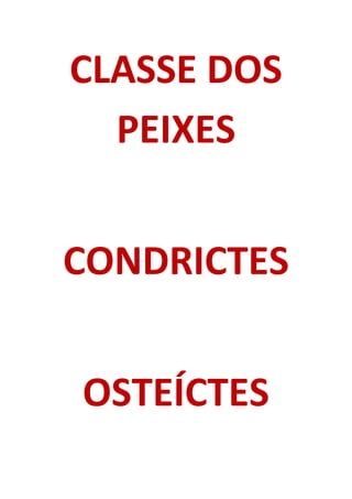 CLASSE DOS
PEIXES
CONDRICTES
OSTEÍCTES
 