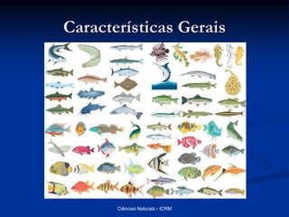 Características Gerais
Ciências Naturais - ICRM
 