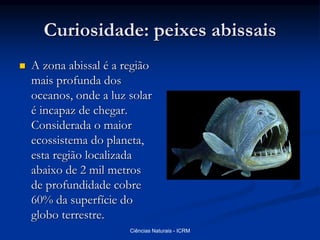 Curiosidade: peixes abissais
 A zona abissal é a região
mais profunda dos
oceanos, onde a luz solar
é incapaz de chegar.
Considerada o maior
ecossistema do planeta,
esta região localizada
abaixo de 2 mil metros
de profundidade cobre
60% da superfície do
globo terrestre.
Ciências Naturais - ICRM
 