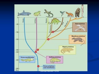 Ciências Naturais - ICRM
 