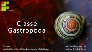 Classe
Gastropoda
Discentes
Nathália Helena Vieira Ribeiro, Omine Rodrigo e Rafael Luccas
Disciplina – Invertebrados II
Professor Dr. Márcio Pereira
 