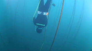 RELAÇÃO DOS GASTRÓPODES COM
O HOMEM
 