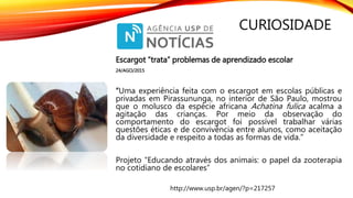 CURIOSIDADE
Escargot “trata” problemas de aprendizado escolar
24/AGO/2015
“Uma experiência feita com o escargot em escolas públicas e
privadas em Pirassununga, no interior de São Paulo, mostrou
que o molusco da espécie africana Achatina fulica acalma a
agitação das crianças. Por meio da observação do
comportamento do escargot foi possível trabalhar várias
questões éticas e de convivência entre alunos, como aceitação
da diversidade e respeito a todas as formas de vida.”
Projeto “Educando através dos animais: o papel da zooterapia
no cotidiano de escolares”
http://www.usp.br/agen/?p=217257
 