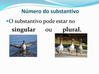 Substantivos  derivadosFormam-se através de palavras já existentes. Para entendermos melhor citaremos os exemplos, seguidos de seus derivados:terra - terreiro porta - portãosapato - sapateiro