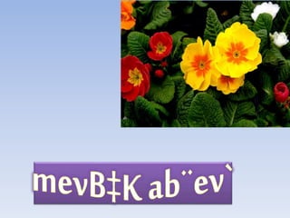 Class eight বচন