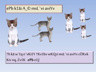 ePbk‡ãiA_©msL¨vi aviYv
†h kã w`‡q e¨vKi‡Y †Kv‡bvwKQzi msL¨vi aviYv cÖKvk
Kiv nq, Zv‡K ePbe‡j|
 