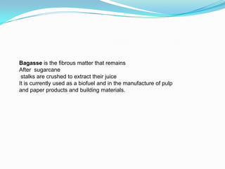 Bagasse is the fibrous matter that remains
After sugarcane
 stalks are crushed to extract their juice
It is currently used as a biofuel and in the manufacture of pulp
and paper products and building materials.
 