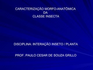 CARACTERIZAÇÃO MORFO-ANATÔMICA  DA  CLASSE INSECTA DISCIPLINA: INTERAÇÃO INSETO / PLANTA PROF. PAULO CESAR DE SOUZA GRILLO 