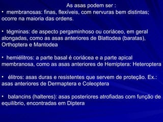 As asas podem ser : membranosas: finas, flexíveis, com nervuras bem distintas; ocorre na maioria das ordens. tégminas: de aspecto pergaminhoso ou coriáceo, em geral alongadas, como as asas anteriores de Blattodea (baratas), Orthoptera e Mantodea  hemiélitros: a parte basal é coriácea e a parte apical membranosa, como as asas anteriores de Hemiptera: Heteroptera  élitros: asas duras e resistentes que servem de proteção. Ex.: asas anteriores de Dermaptera e Coleoptera  balancins (halteres): asas posteriores atrofiadas com função de equilíbrio, encontradas em Diptera  