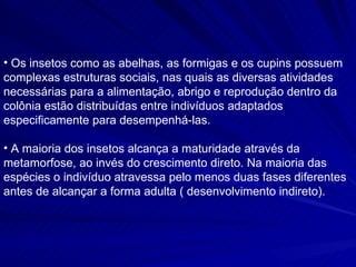 Os insetos como as abelhas, as formigas e os cupins possuem complexas estruturas sociais, nas quais as diversas atividades necessárias para a alimentação, abrigo e reprodução dentro da colônia estão distribuídas entre indivíduos adaptados especificamente para desempenhá-las. A maioria dos insetos alcança a maturidade através da metamorfose, ao invés do crescimento direto. Na maioria das espécies o indivíduo atravessa pelo menos duas fases diferentes antes de alcançar a forma adulta ( desenvolvimento indireto). 