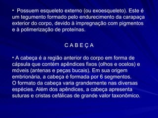 Possuem esqueleto externo (ou exoesqueleto). Este é um tegumento formado pelo endurecimento da carapaça exterior do corpo, devido à impregnação com pigmentos e à polimerização de proteínas. C A B E Ç A A cabeça é a região anterior do corpo em forma de cápsula que contém apêndices fixos (olhos e ocelos) e móveis (antenas e peças bucais). Em sua origem embrionária, a cabeça é formada por 6 segmentos.  O formato da cabeça varia grandemente nas diversas espécies. Além dos apêndices, a cabeça apresenta suturas e cristas cefálicas de grande valor taxonômico. 