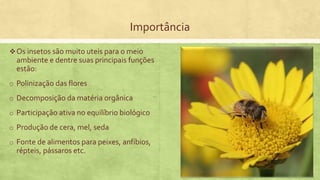 Importância
Os insetos são muito uteis para o meio
ambiente e dentre suas principais funções
estão:
o Polinização das flores
o Decomposição da matéria orgânica
o Participação ativa no equilíbrio biológico
o Produção de cera, mel, seda
o Fonte de alimentos para peixes, anfíbios,
répteis, pássaros etc.
 