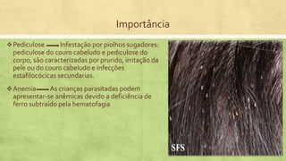 Importância
Pediculose Infestação por piolhos sugadores:
pediculose do couro cabeludo e pediculose do
corpo, são caracterizadas por prurido, irritação da
pele ou do couro cabeludo e infecções
estafilocócicas secundarias.
Anemia As crianças parasitadas podem
apresentar-se anêmicas devido a deficiência de
ferro subtraído pela hematofagia
 