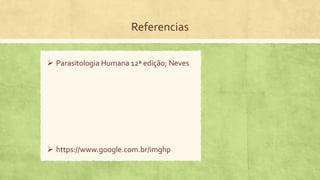 Referencias
 Parasitologia Humana 12ª edição; Neves
 https://www.google.com.br/imghp
 