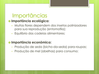 Importâncias
 Importância ecológica:
• Muitas flores dependem dos insetos polinizadores
para sua reprodução (entomoflia);
• Equilíbrio das cadeias alimentares;
 Importância econômica:
• Produção de seda (bicho-da-seda) para roupas;
• Produção de mel (abelhas) para consumo;
 