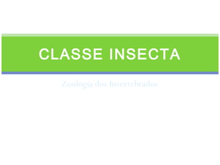 CLASSE INSECTA 
Zoologia dos Invertebrados 
Professor: Fernando Afonso Bonillo 
Aluna: Thalita Maciel de Melo 
 