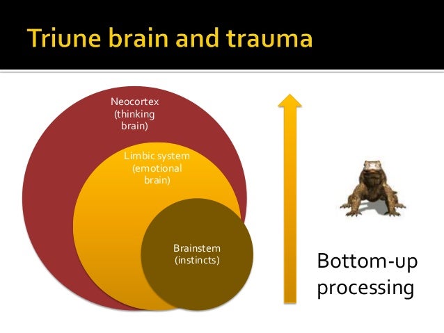 WOMEN IN MIND KEYNOTE: Everybody Hurts: The personal and ... brain diagram amygdala 
