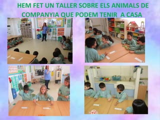 HEM FET UN TALLER SOBRE ELS ANIMALS DE
COMPANYIA QUE PODEM TENIR A CASA
 