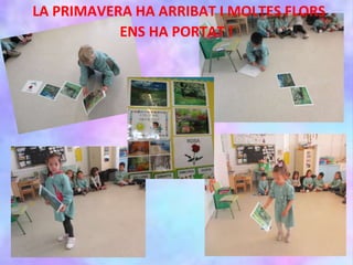 LA PRIMAVERA HA ARRIBAT I MOLTES FLORS
ENS HA PORTAT !
 